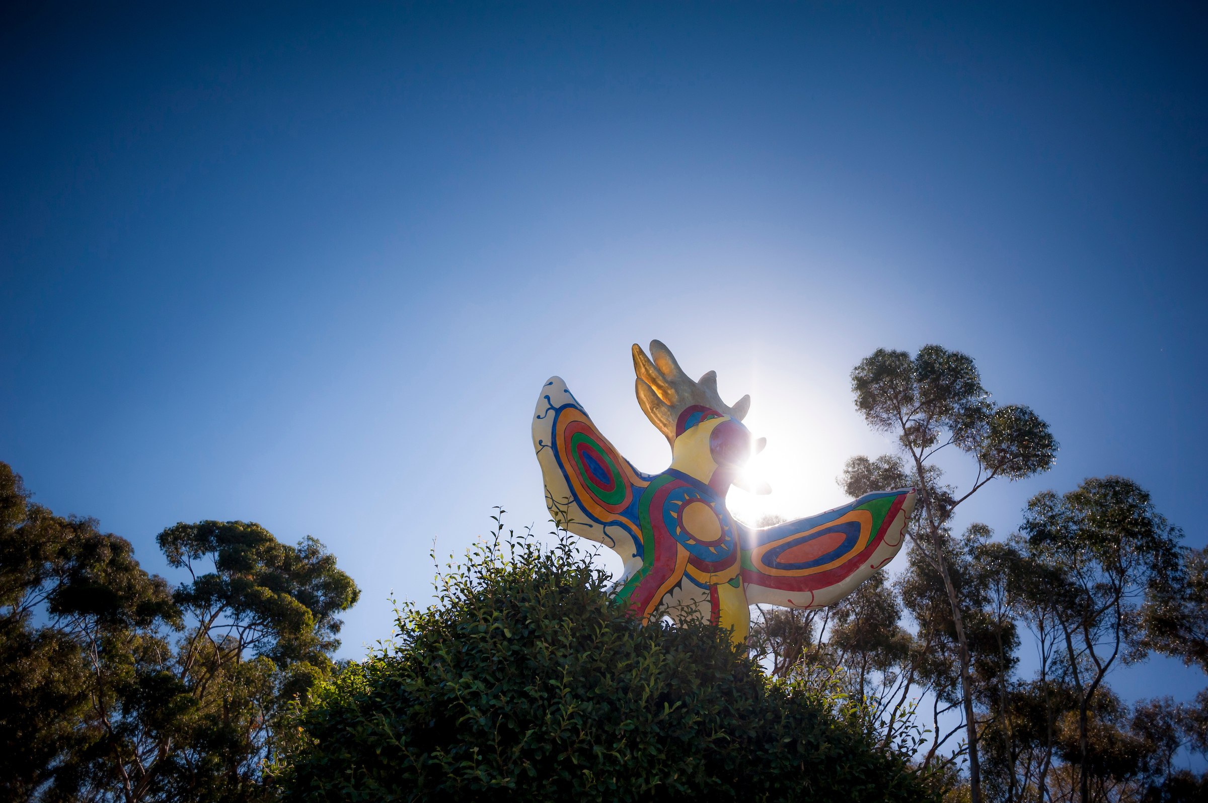 Photo of Sun God statue by Erik Jepson
