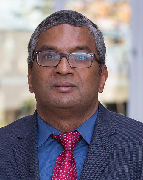 Photo of Nambirajan Seshadri